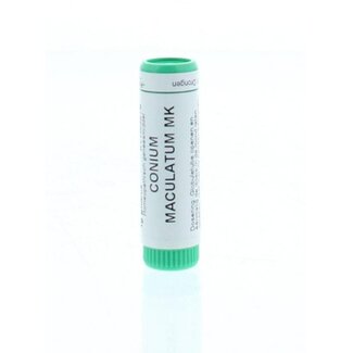 Homeoden Heel Conium maculatum MK 1,00 Gramm