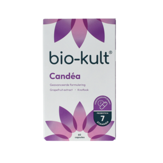 Bio-Kult Bio-Kult Candea 60,00 vegetarische Kapseln