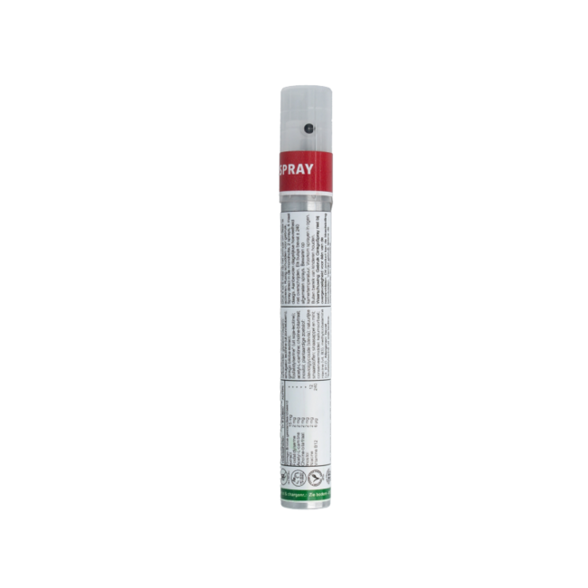 Ginkgo Spray vitaminé 14,40 millilitres