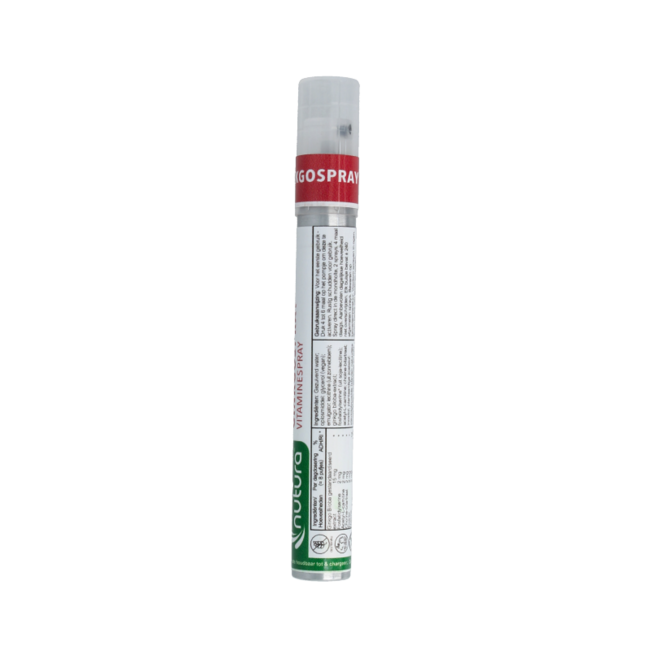 Ginkgo Spray vitaminé 14,40 millilitres