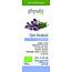 Physalis Thym jaune bio 10 ml