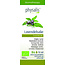 Physalis Lavendel-Salbei Bio 10 Milliliter