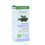 Physalis Pino silvestre bio 10 mililitros