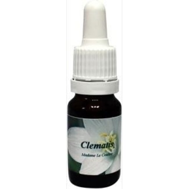 Star Remedies Clematis madame le coultre 10 ml