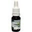 Star Remedies Clematis madame le coultre 10 Milliliter
