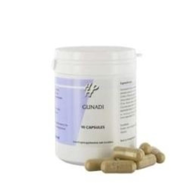 Holisan Gunadi 90 Capsule
