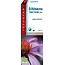 Fytostar Echinacea druppels bio 100 Milliliter