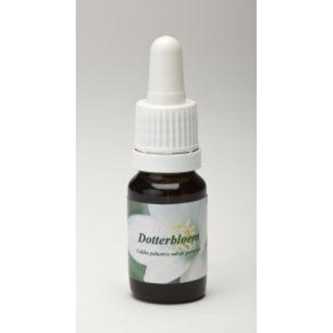 Star Remedies Dotterbloem 10 Milliliter