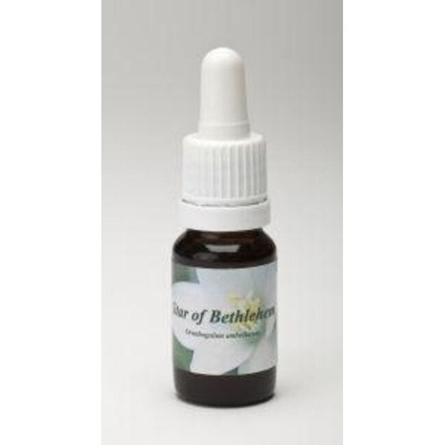 Star Remedies Star of Bethlehem 10 mililitros
