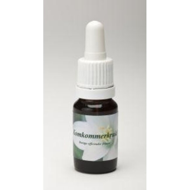 Star Remedies Borraja 10 mililitros
