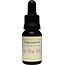 Indigo Essences In the lift 15 ml