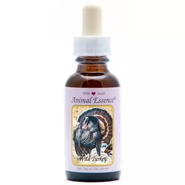 Animal Essences Wild turkey (kalkoen) 30 Milliliter