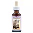 Animal Essences Rinoceronte blanco (White rhinoceros) 30 mililitros