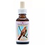 Animal Essences Sparrow (Spatz) 30 Milliliter