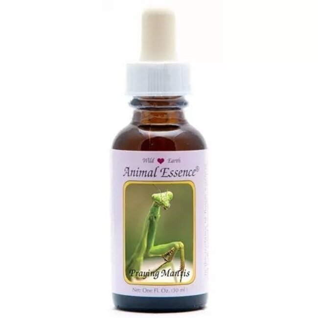 Essenze Animali Mantide religiosa 30 Millilitri