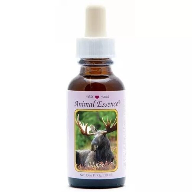 Animal Essences Élan (Moose) 30 ml
