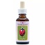 Animal Essences Coccinelle (Ladybug) 30 ml