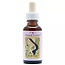 Animal Essences Earthworm (Regenwurm) 30 Milliliter