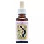 Animal Essences Earthworm (Ver de terre) 30 ml