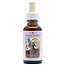 Animal Essences Bighorn Sheep 30 Millilitre