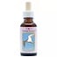 Animal Essences Arctic tern (Küstenseeschwalbe) 30 Milliliter