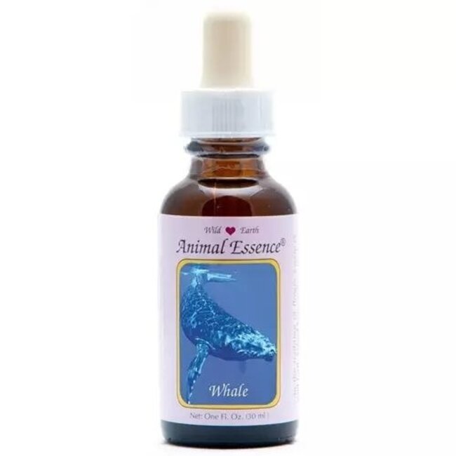 Animal Essences Whale (Wal) 30 Milliliter