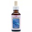 Essenze Animali Balena (Whale) 30 Millilitri