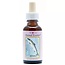 Animal Essences Salmon (Lachs) 30 Milliliter