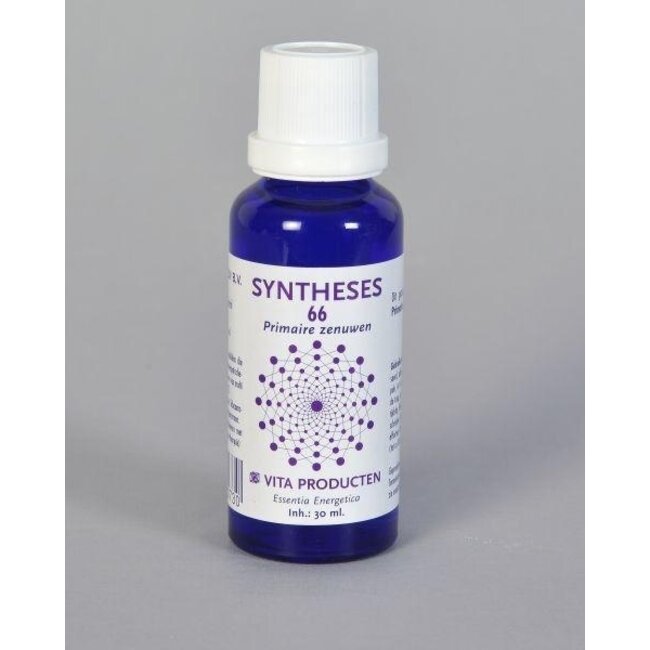 Vita Syntheses 66 nervi primari 30 Millilitri