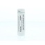 Homeoden Heel Ginkgo biloba LM30 6 Gram