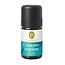 Primavera Concentration blend 5 Milliliter