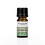 Tisserand Chamomile blue (Blaue Kamille) ethische Ernte 2 Milliliter