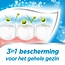 Toothpaste triple protection freshmint 75 Millilitres