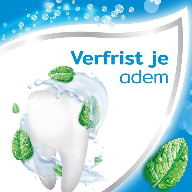 Toothpaste triple protection freshmint 75 Millilitres