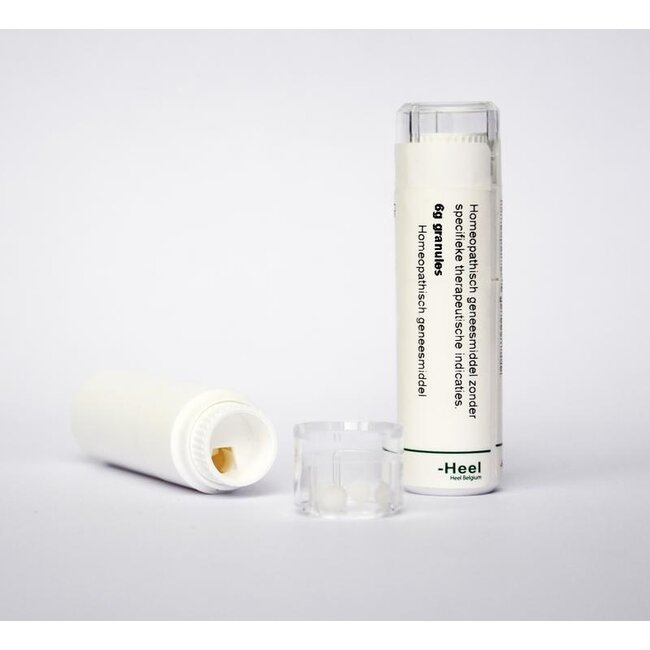 Homeoden Heel Argentum metallicum D6 6 g