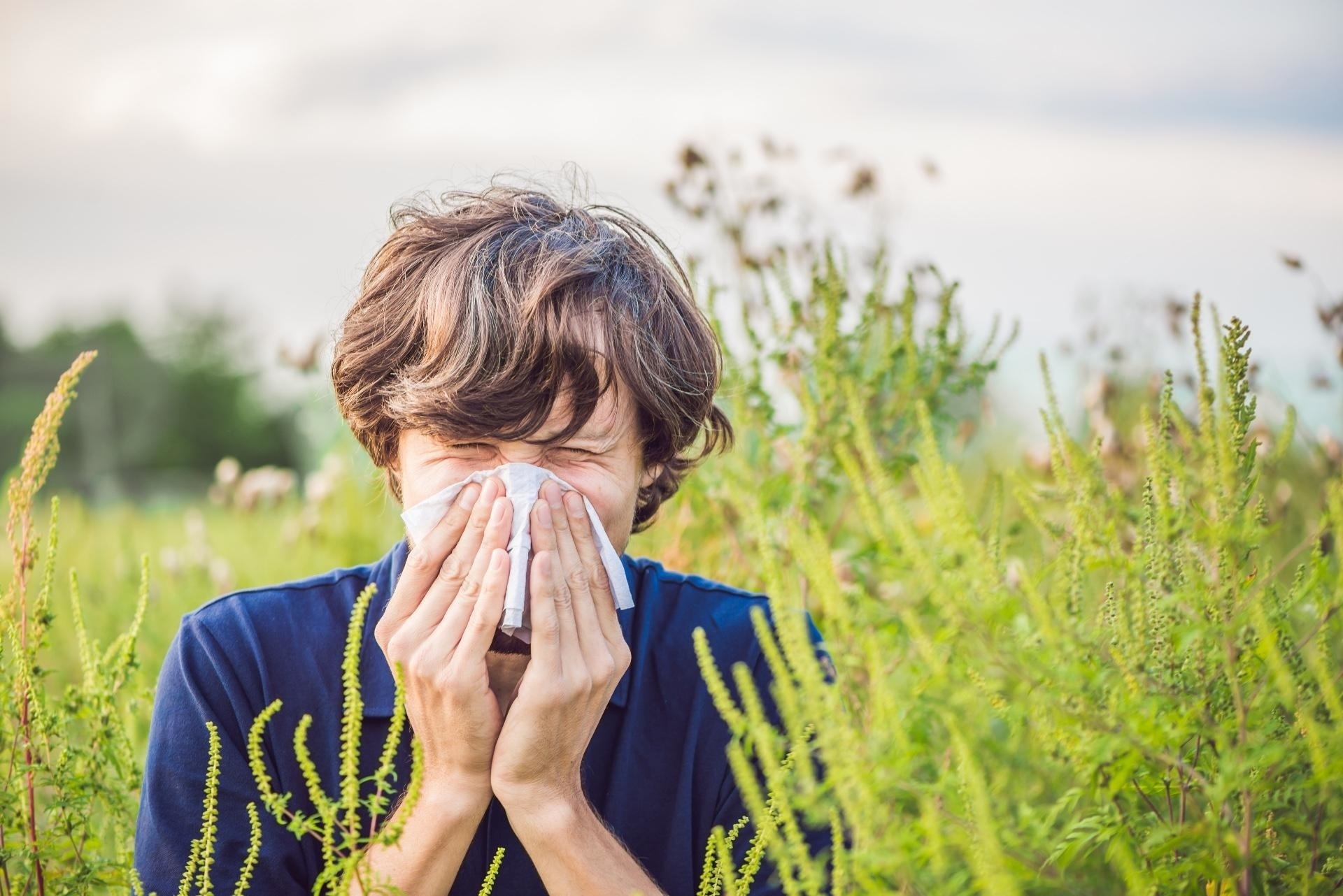 Polline o punture d'insetto? Le differenze tra febbre da fieno e allergie in sintesi.
