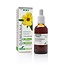 Soria Natural Turnera diffusa XXI extract 50 Milliliter