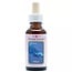 Animal Essences Baleine 30 Millilitres
