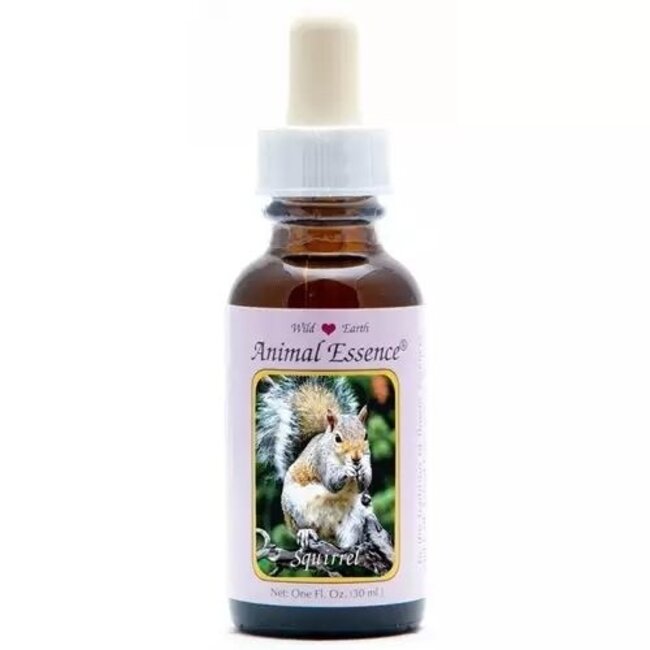 Animal Essences Squirrel 30 ml