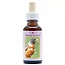 Essenze Animali Pettirosso (Robin) 30 Millilitri