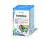 Infusion bio Physalis Eucalyforce 20 sachets