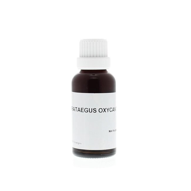 Homeoden Heel Crataegus oxyacantha phyto 30 Milliliter