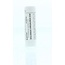 Homeoden Heel Solidago virgaurea D30 6 Grammi
