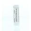 Homeoden Heel Argentum nitricum D30 6 Gramm