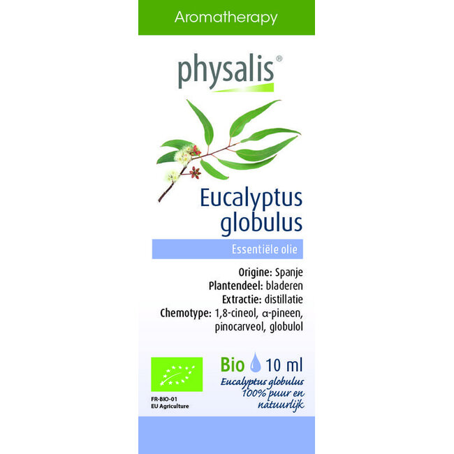 Eukaliptus globulus bio 10 mililitrów