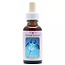 Animal Essences Manta ray (Riesenmanta) 30 Milliliter