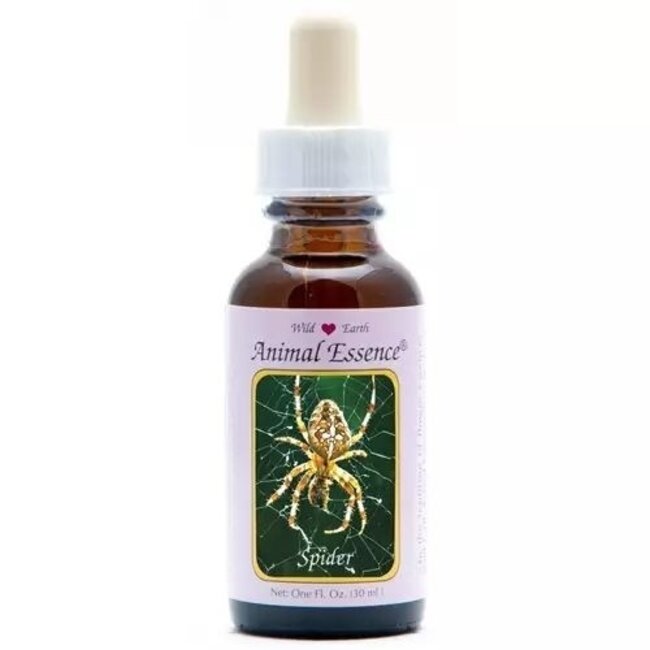 Animal Essences Spider (araña) 30 mililitros