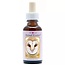Essenza Animale Gufo (Owl) 30 Millilitri