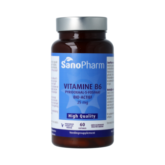 SanoPharm High Quality Vitamine B6 60.00 Capsules