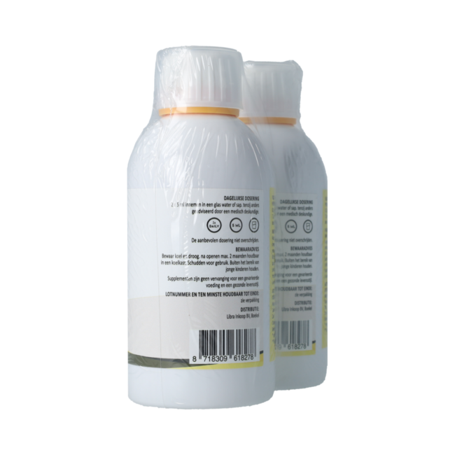 Liposomal Magnesium Compl 250ml AKTIE 1+1 gratis 500.00 Milliliter